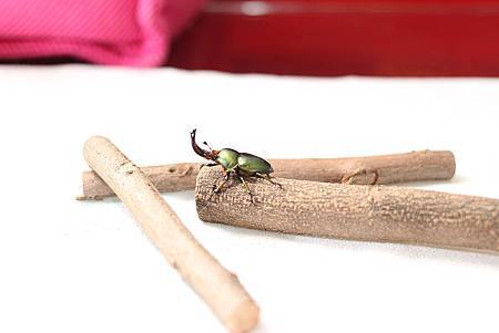 IMG_4026.jpg IMG_4026.jpg