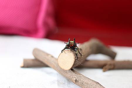 IMG_4030.jpg IMG_4030.jpg