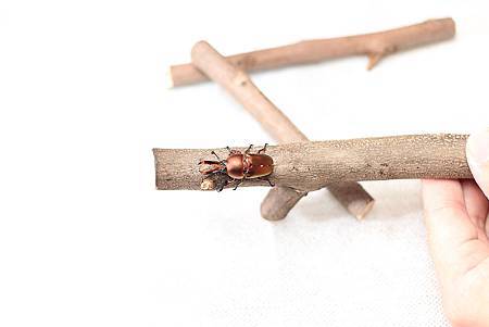 IMG_4035.jpg IMG_4035.jpg