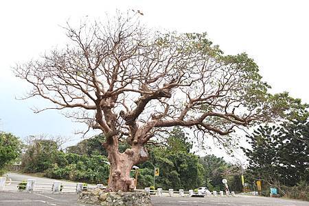 IMG_5757.jpg IMG_5757.jpg