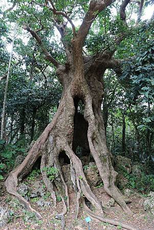 IMG_5781.jpg IMG_5781.jpg