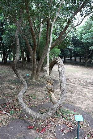 IMG_5834.jpg IMG_5834.jpg