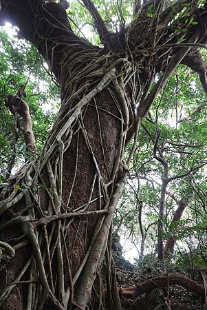 IMG_5919.jpg IMG_5919.jpg