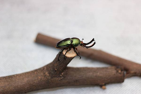 IMG_4004.jpg IMG_4004.jpg