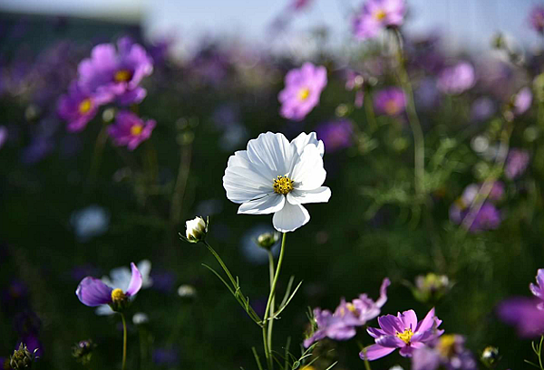 2016-02-13 00.43.35-1.png