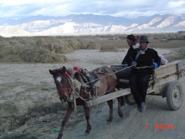 DSC00425.JPG DSC00425.JPG