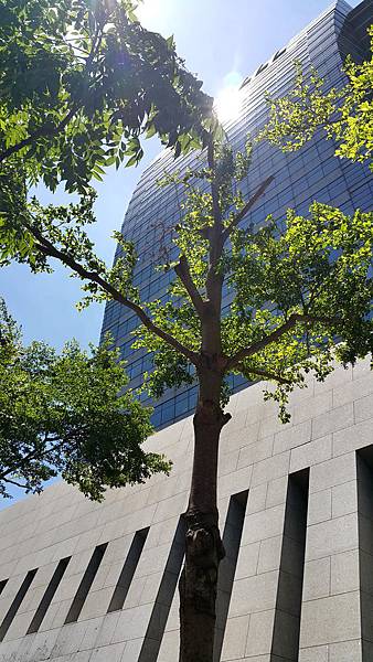 C360_2017-08-09-11-10-41-343.jpg C360_2017-08-09-11-10-41-343.jpg