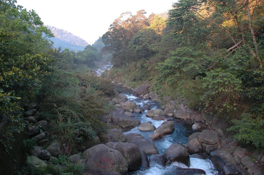 DSC_7053.jpg DSC_7053.jpg