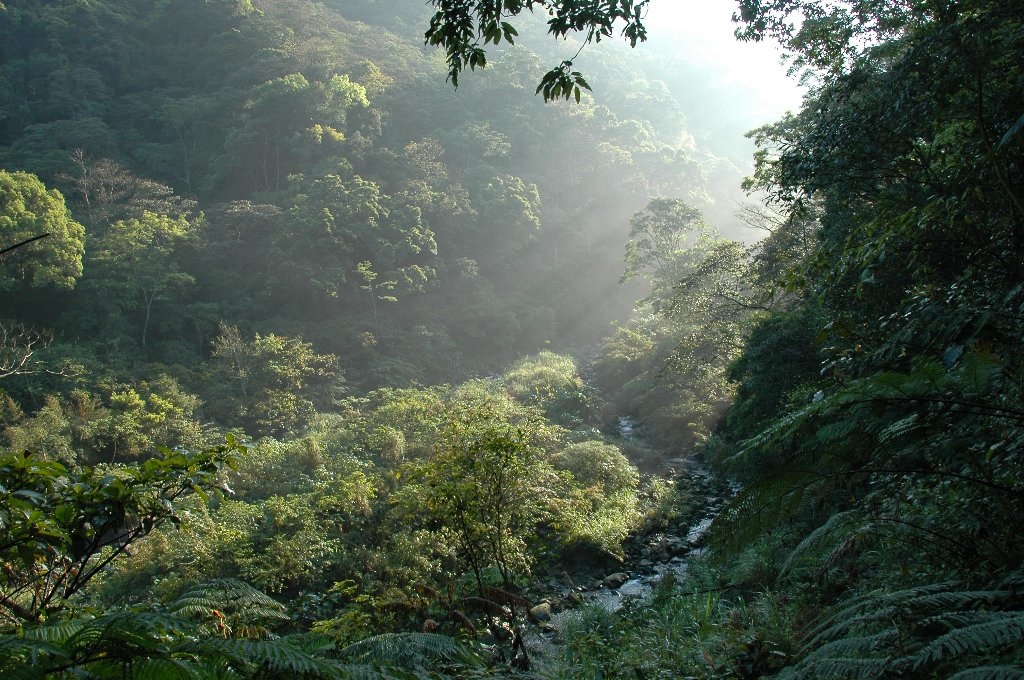 DSC_7057.jpg DSC_7057.jpg