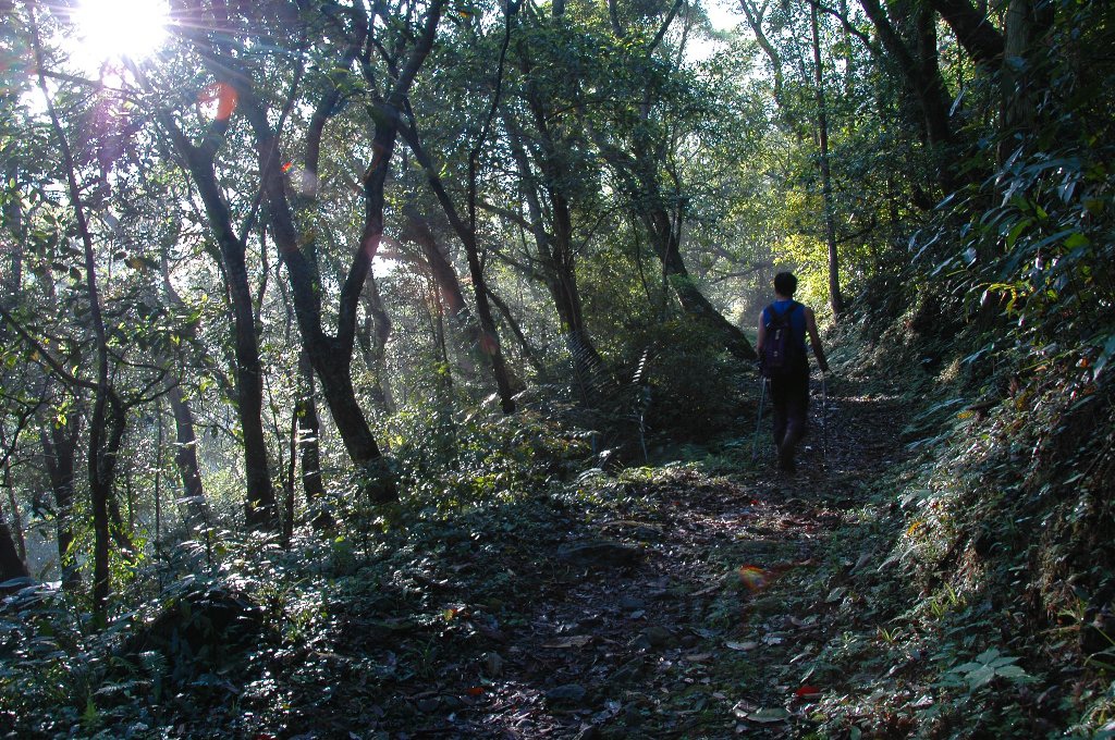 DSC_7056.jpg DSC_7056.jpg