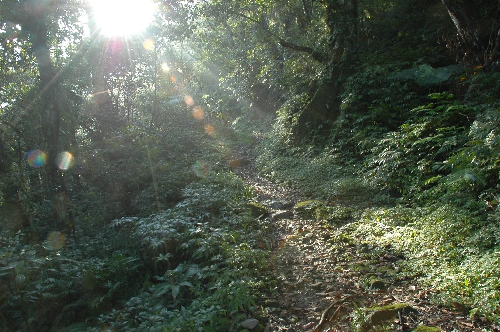 DSC_7058.jpg DSC_7058.jpg