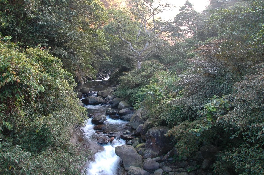 DSC_7054.jpg DSC_7054.jpg