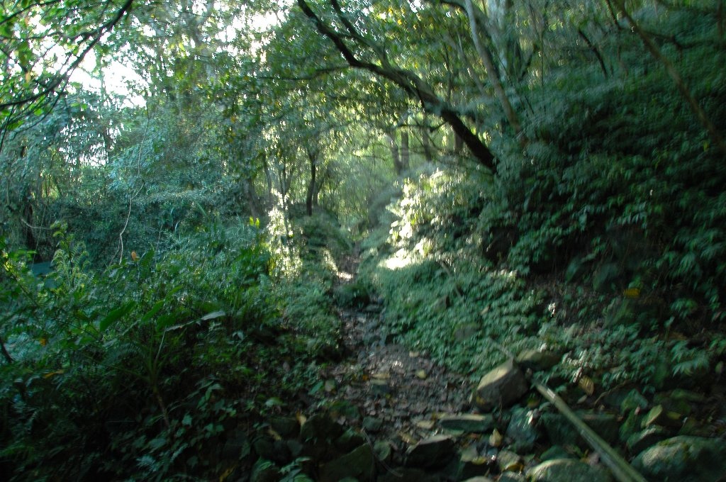 DSC_7059.jpg DSC_7059.jpg