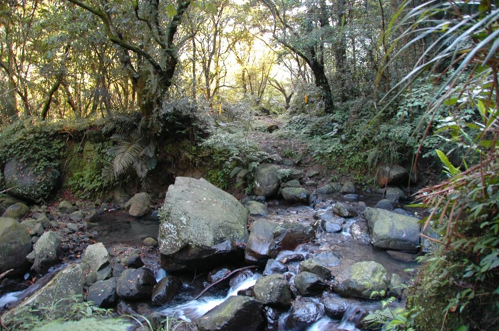 DSC_7067.jpg DSC_7067.jpg