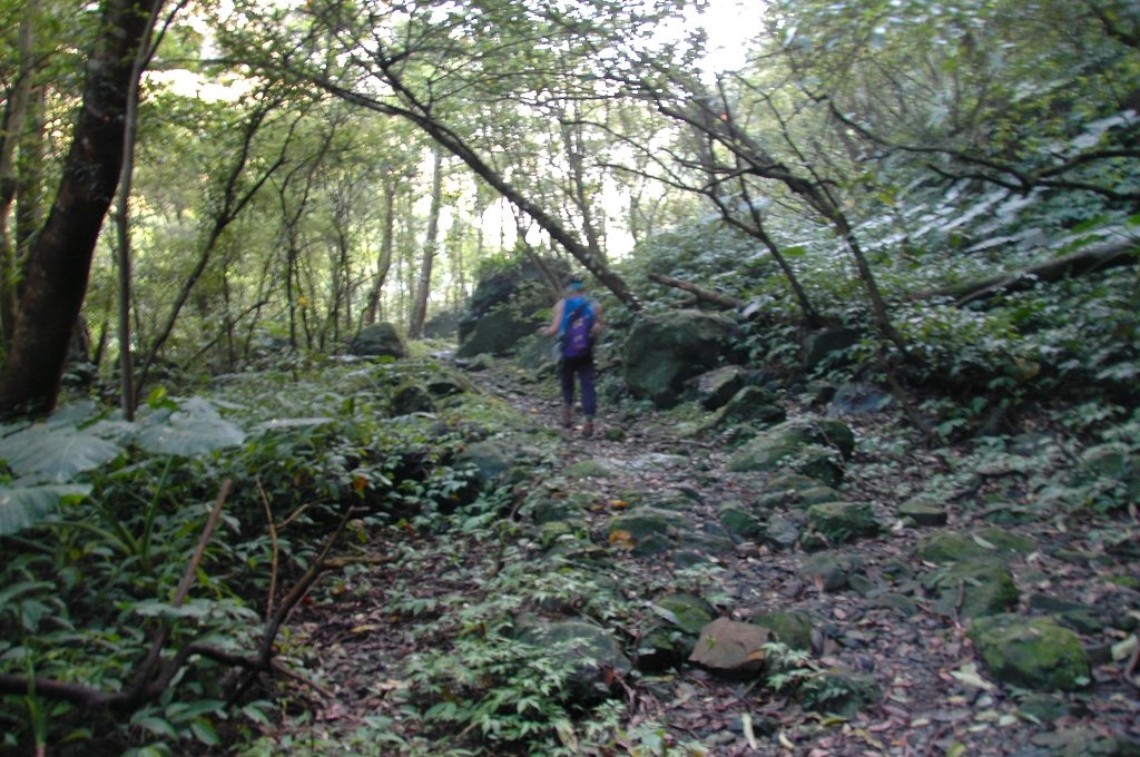 DSC_7069.jpg DSC_7069.jpg