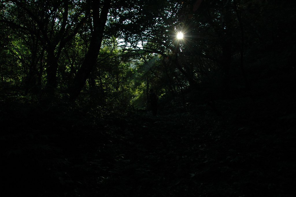 DSC_7073.jpg DSC_7073.jpg