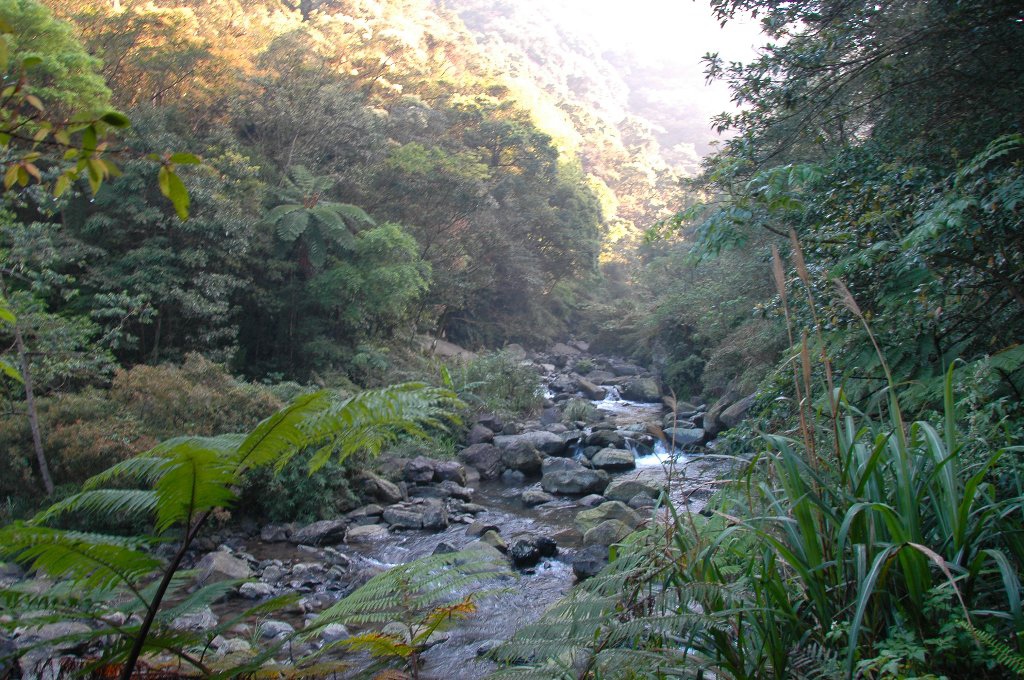 DSC_7072.jpg DSC_7072.jpg