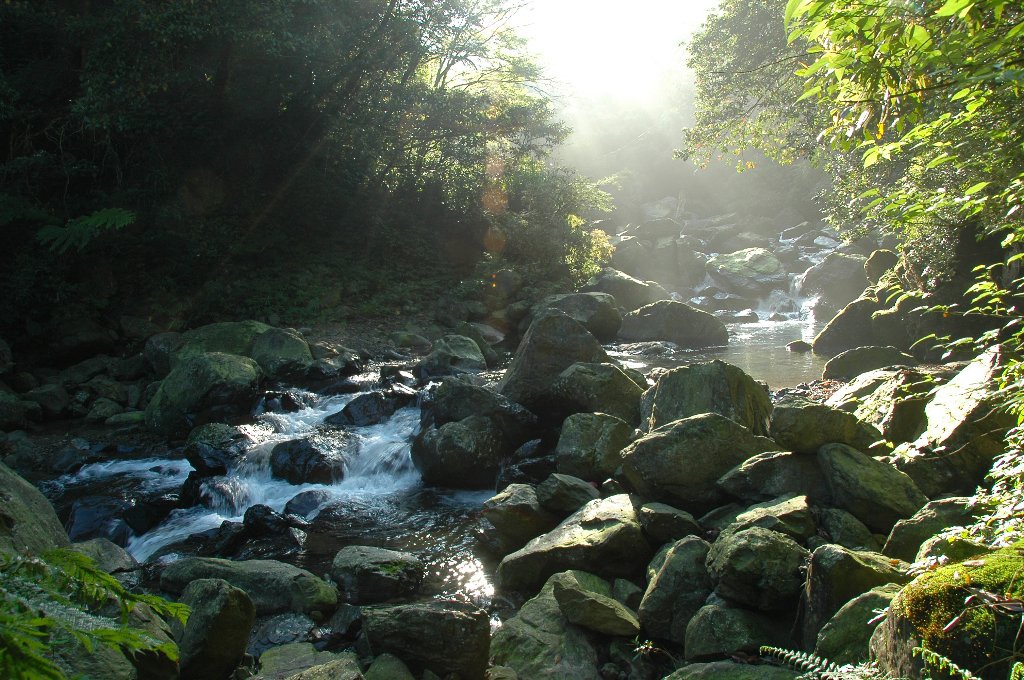 DSC_7074.jpg DSC_7074.jpg