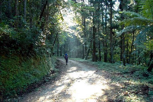 az603m.jpg az603m.jpg