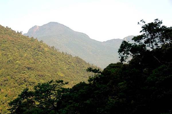 az605m.jpg az605m.jpg