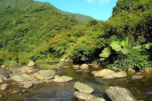 az610m.jpg az610m.jpg