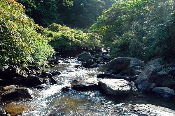 az609m.jpg az609m.jpg