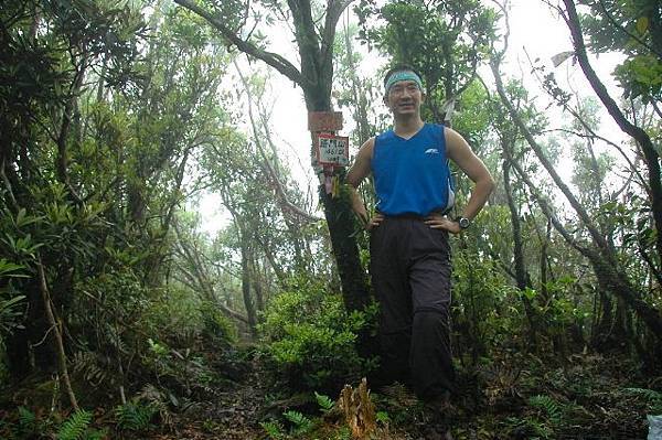 az612m.jpg az612m.jpg