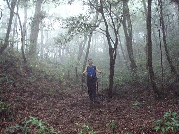 az615m.JPG az615m.JPG