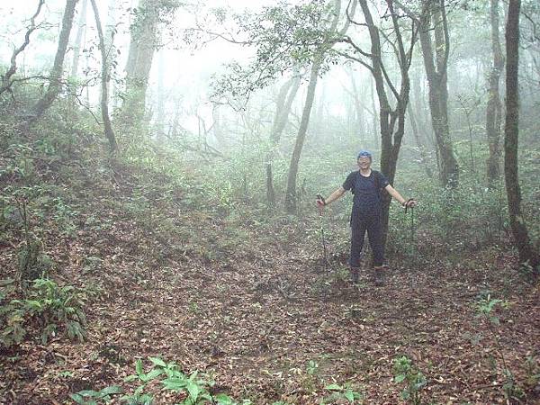 az616m.JPG az616m.JPG