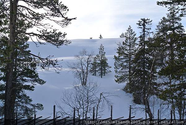DSC_7117.JPG DSC_7117.JPG