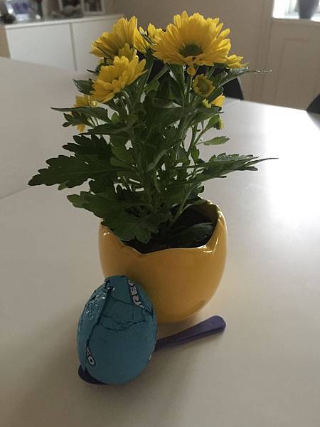 2019-04-20 20.12.37.jpg 2019-04-20 20.12.37.jpg