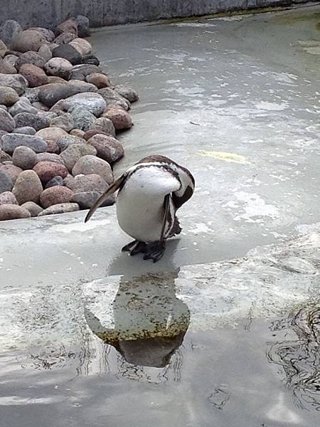 2013-04-26 14.41.44.jpg 2013-04-26 14.41.44.jpg