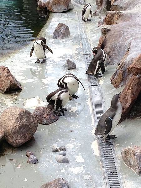 2013-04-26 14.41.32.jpg 2013-04-26 14.41.32.jpg