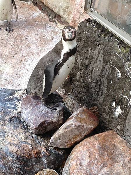 2013-04-26 14.42.33.jpg 2013-04-26 14.42.33.jpg