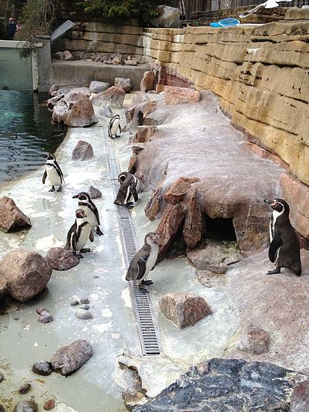 2013-04-26 14.41.39.jpg 2013-04-26 14.41.39.jpg