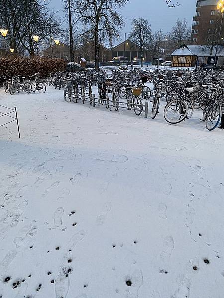 哥本哈根 hygge sne (hygge snow) 哥本哈根 hygge sne (hygge snow)