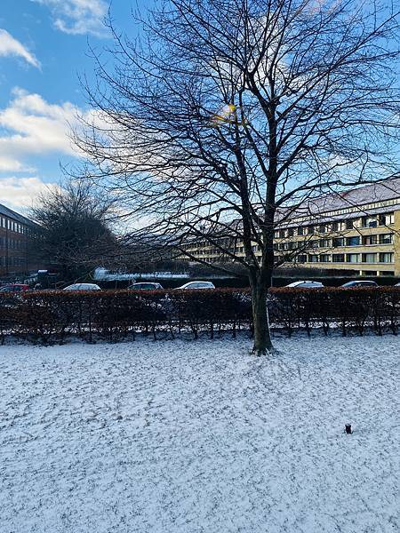 哥本哈根 hygge sne (hygge snow) 哥本哈根 hygge sne (hygge snow)
