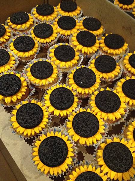 太陽花學運十週年回憶隨記 太陽花學運十週年回憶隨記