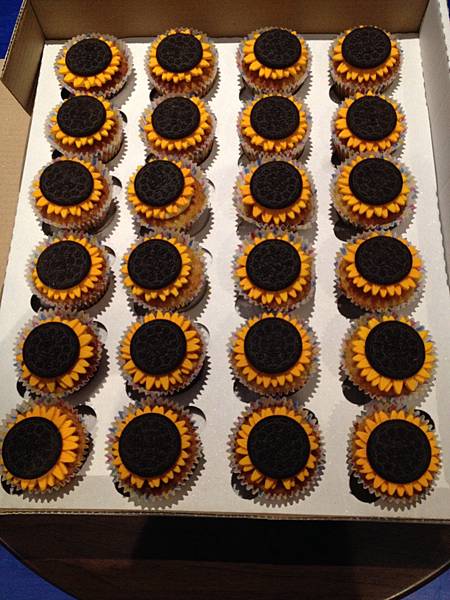 太陽花學運十週年回憶隨記 太陽花學運十週年回憶隨記