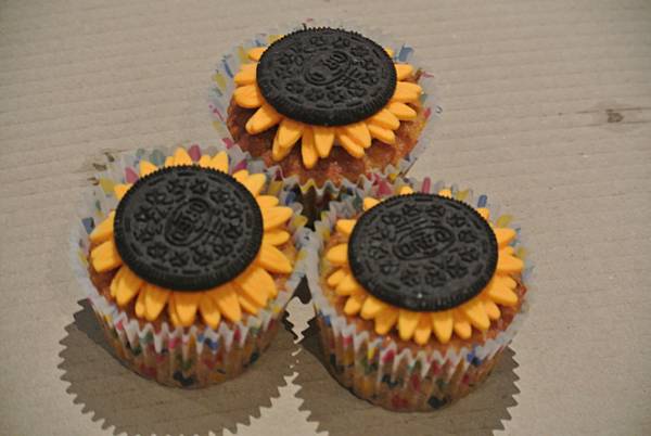 太陽花學運十週年回憶隨記 太陽花學運十週年回憶隨記