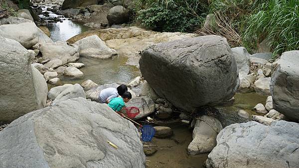 DSC03865.jpg DSC03865.jpg