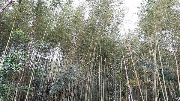 DSC04760.JPG DSC04760.JPG