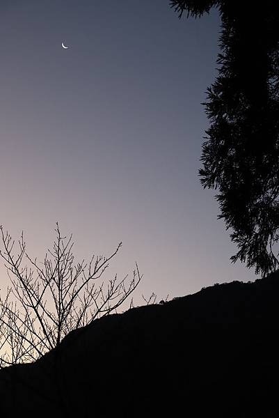 IMG_0390.JPG IMG_0390.JPG