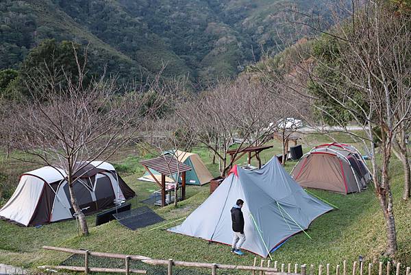 IMG_0423.JPG IMG_0423.JPG