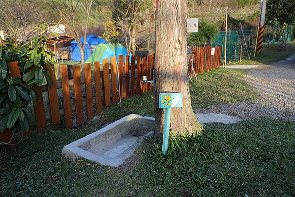 IMG_0454.JPG IMG_0454.JPG