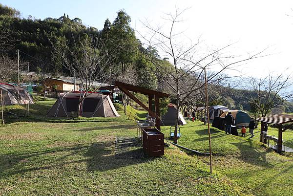 IMG_0499.JPG IMG_0499.JPG