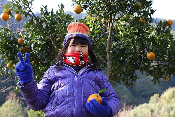 IMG_0531.JPG IMG_0531.JPG