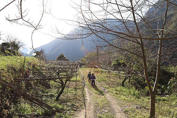 IMG_0552.JPG IMG_0552.JPG