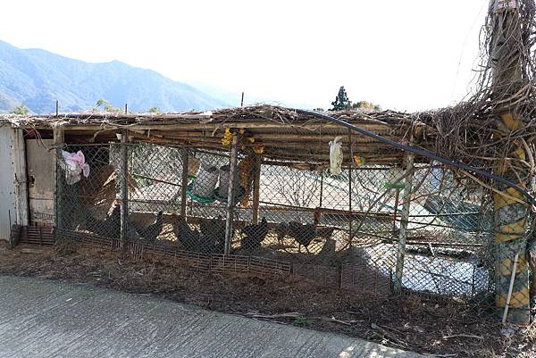 IMG_0659.JPG IMG_0659.JPG