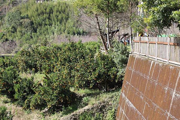 IMG_0669.JPG IMG_0669.JPG